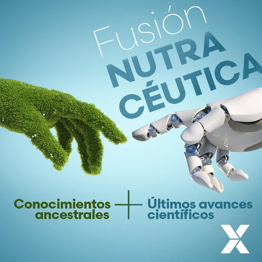 ¿ QUÉ ES FUXION? 🥬🥦